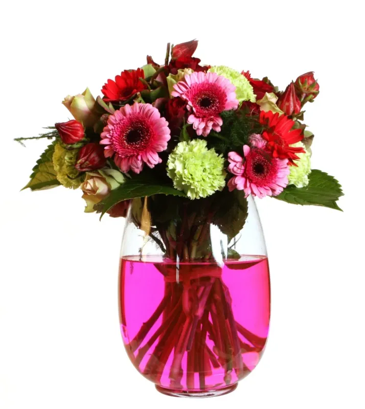 Farbstoff für Wasser Rosa (1 Stück) [IFS-20109] – Bild 2