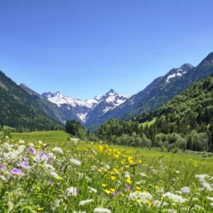 Duschrückwand-Bunte Wiese in den Alpen