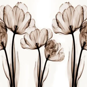 Duschrückwand-Abstraktes Blumendesign