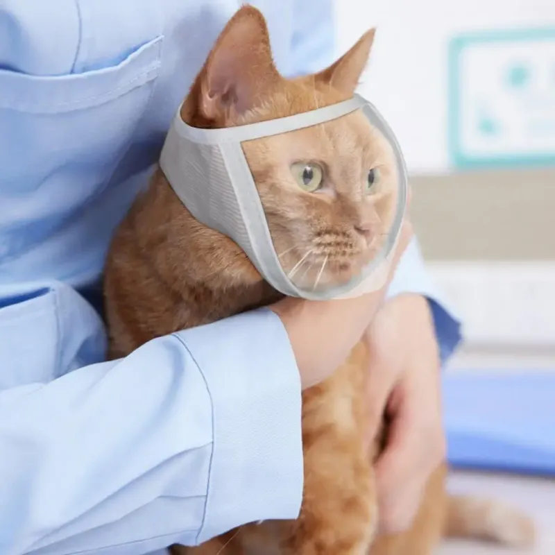 Anti-bite Breathable Small Pet Safety Mask - Image 0