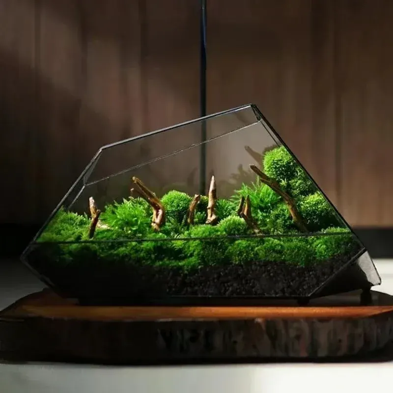 Geometric Glass Moss Planter Terrarium Vase - Image 0