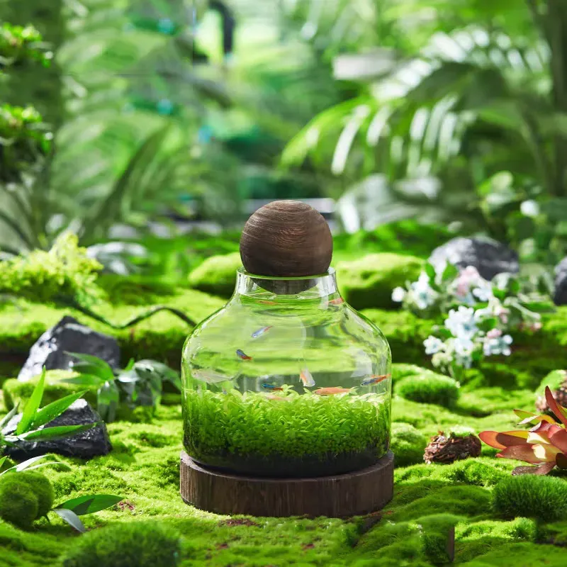 Micro Aquarium Compact Glass Ecological Fish Tank - Image 0