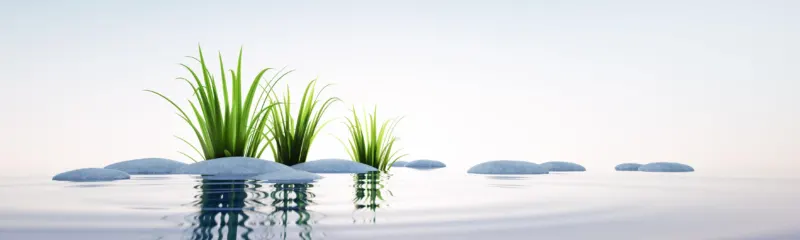 Spritzschutz-Steine und Gras im See Querformat