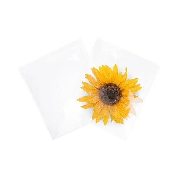Plastic Bags 21.4x21cm Transparent