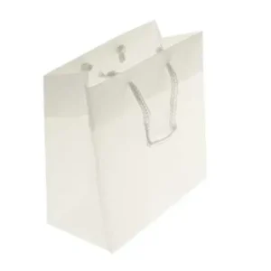 Gift Bags 22x7.6x27cm with carrying Cords