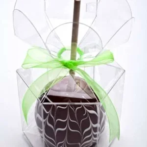 Plastic Gift Boxes with Flower Top 9.5x9.5x10.2cm Food Safe