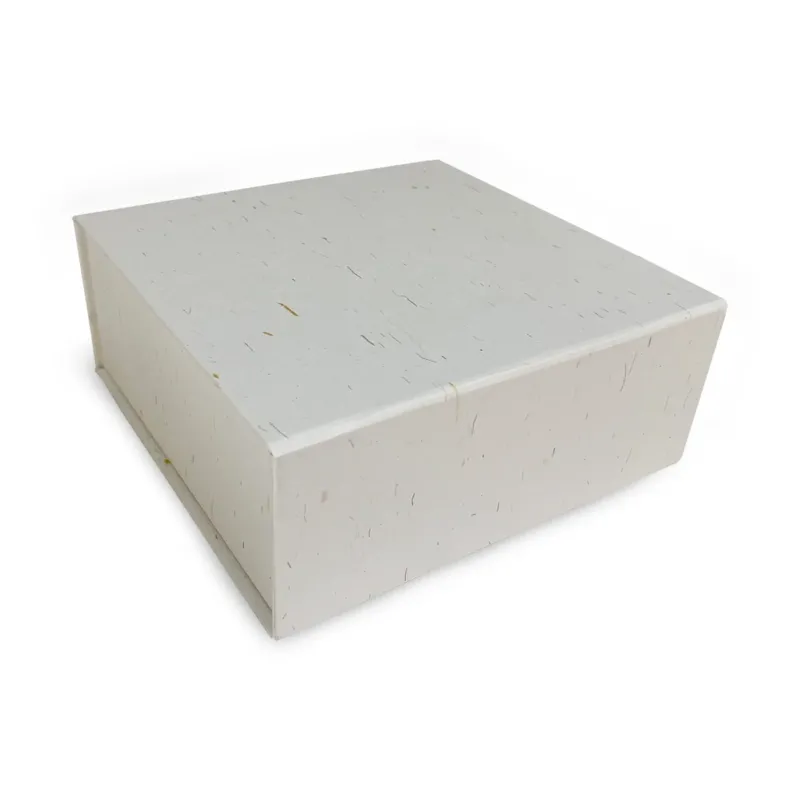Magnet boxes 22x16,5x3cm White (25 pcs)